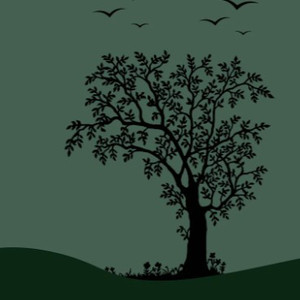 成人午夜性视频欧美成人
