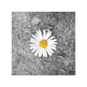 成人午夜性视频欧美成人
